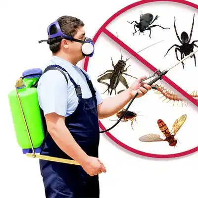 pest control Hamlet